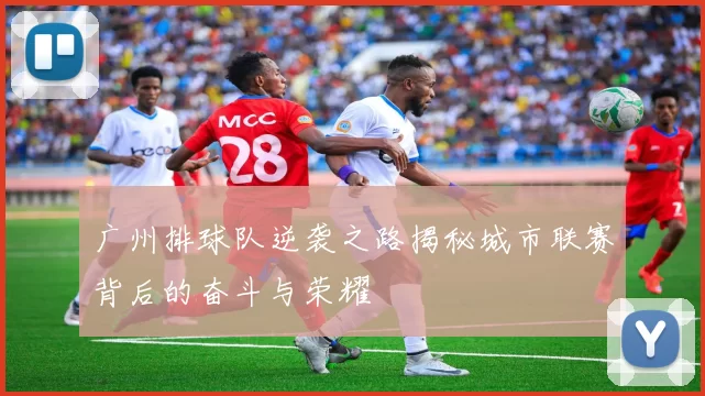 广州排球队逆袭之路揭秘城市联赛背后的奋斗与荣耀