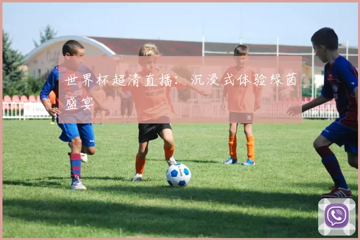世界杯超清直播:沉浸式体验绿茵盛宴
