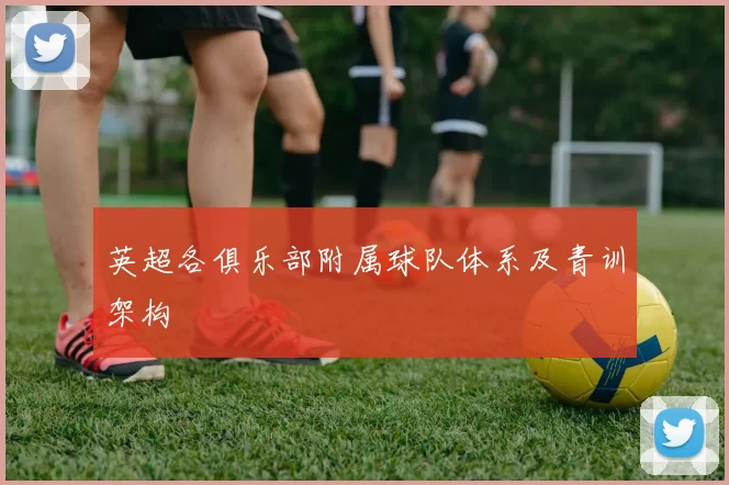 英超各俱乐部附属球队体系及青训架构