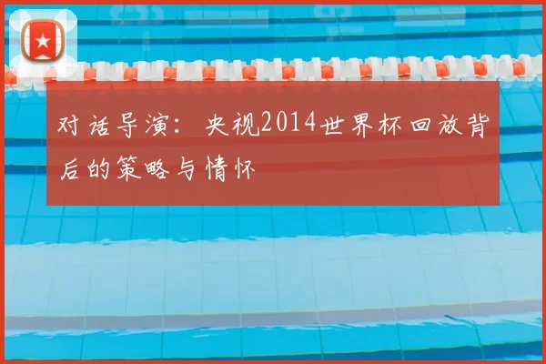 对话导演：央视2014世界杯回放背后的策略与情怀