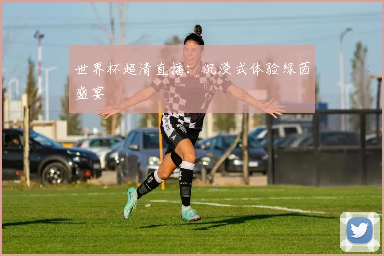世界杯超清直播：沉浸式体验绿茵盛宴
