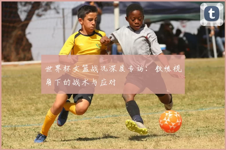 世界杯女篮战况深度专访：教练视角下的战术与应对