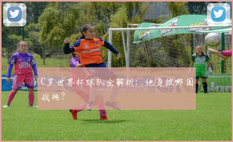 C罗世界杯球队全解析：他身披哪国战袍？