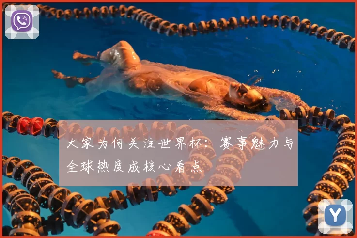 大家为何关注世界杯:赛事魅力与全球热度成核心看点