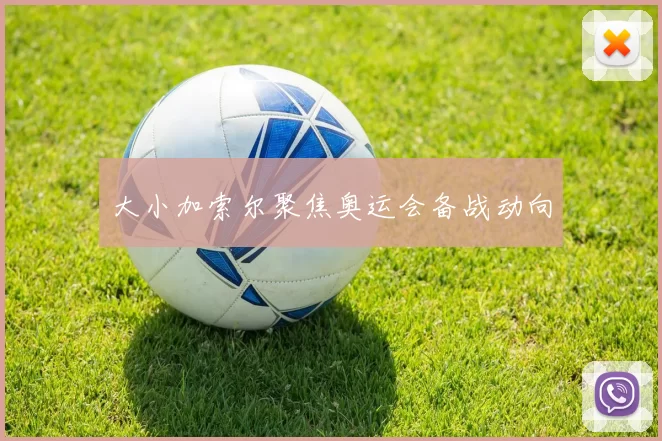 大小加索尔聚焦奥运会备战动向