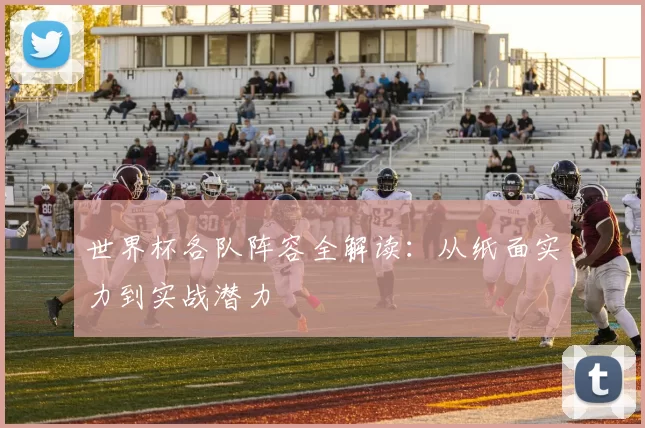 世界杯各队阵容全解读：从纸面实力到实战潜力