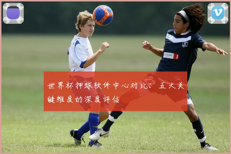 世界杯押球软件中心对比：五大关键维度的深度评估