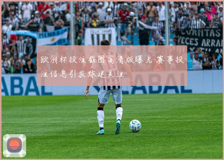 欧洲杯投注截图高清版曝光 赛事投注信息引发球迷关注