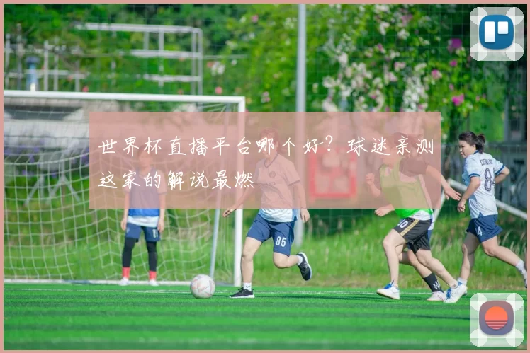 世界杯直播平台哪个好?球迷亲测这家的解说最燃