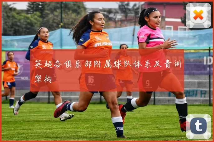 英超各俱乐部附属球队体系及青训架构