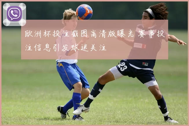 欧洲杯投注截图高清版曝光 赛事投注信息引发球迷关注